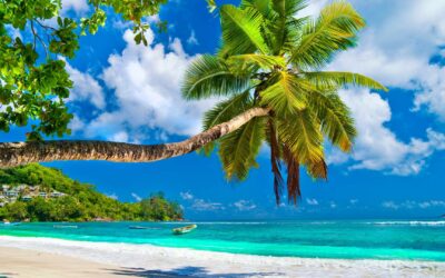 Tropical Family Fun – School Holiday Packages to Mauritius & Seychelles (2025)